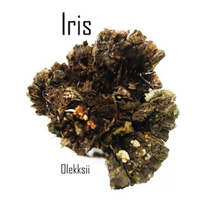 Olekksii – Iris