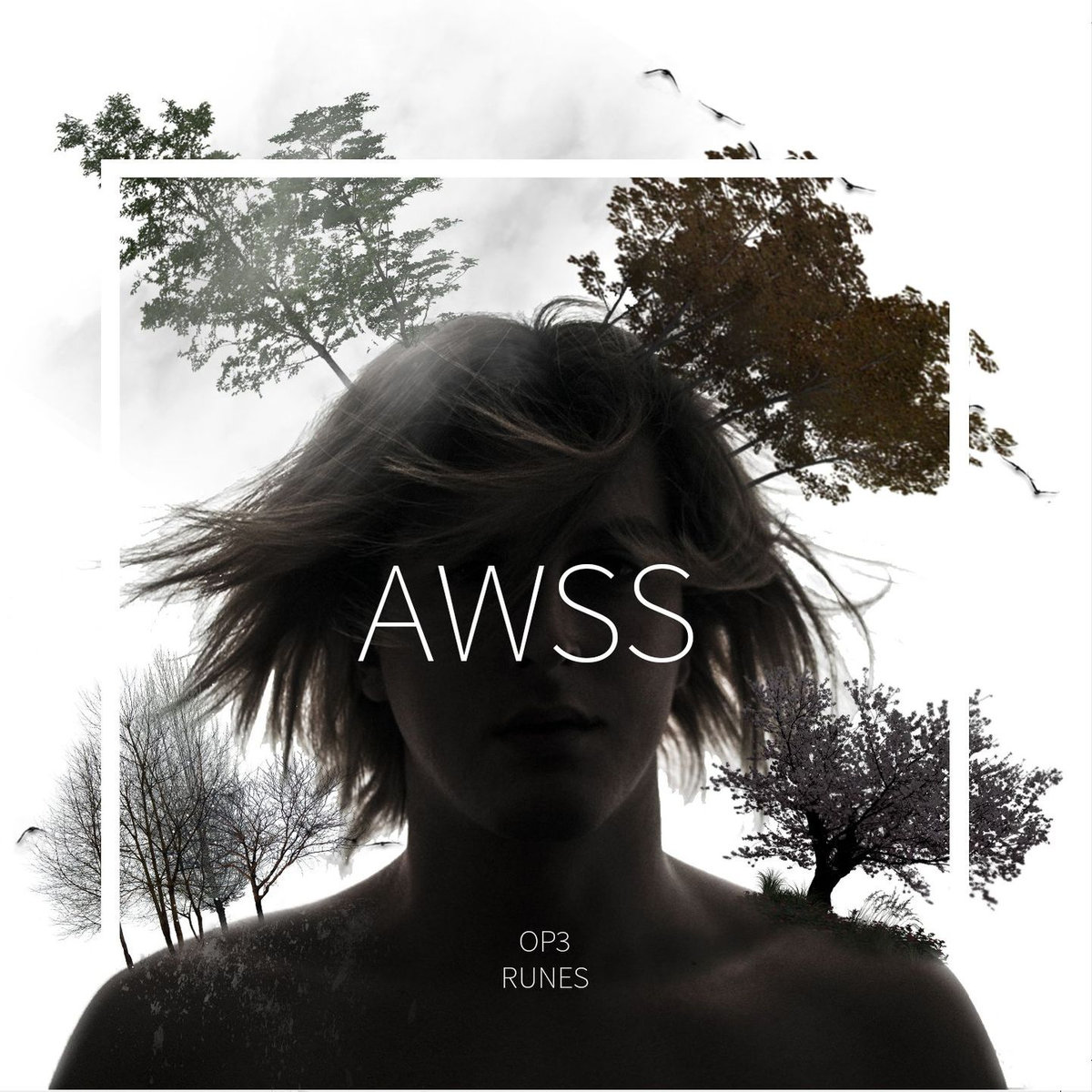 OP3 & Runess – AWSS