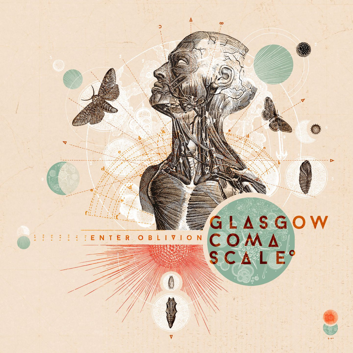 Glasgow Coma Scale – Enter Oblivion