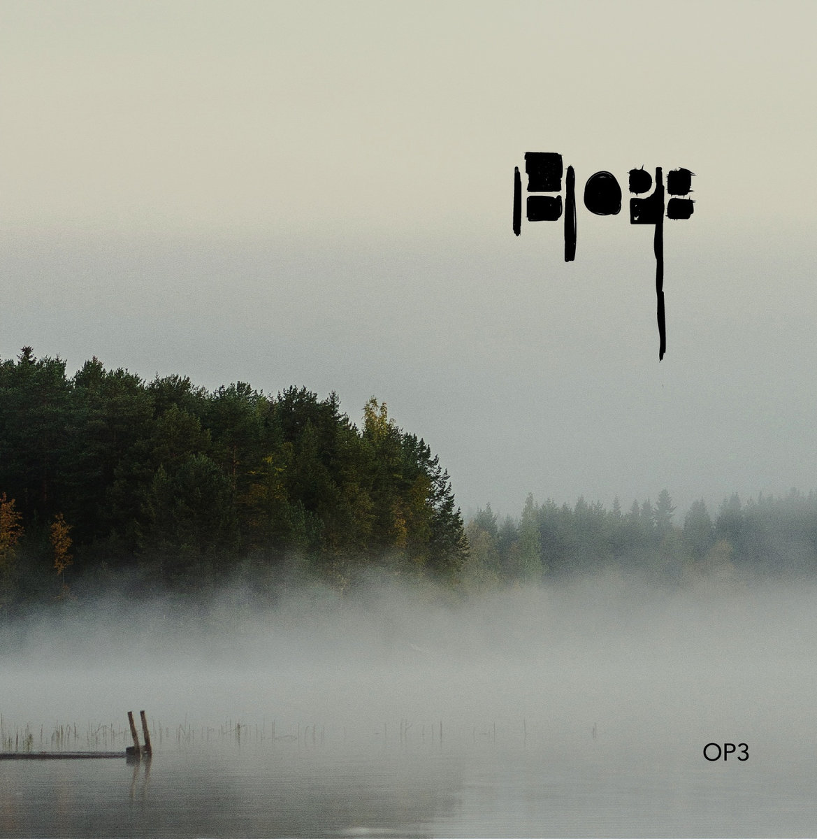 OP3 – Hope